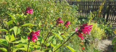 20230923_140808.jpg