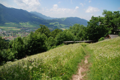 weg_zureuck_zur_burg.jpg
