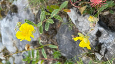 IMG-20230927-WA0006.jpg
