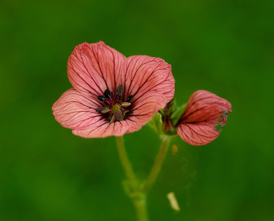 DSC_8006_DxO_DxO.jpg