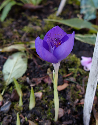 DSC01613_DxO.jpg