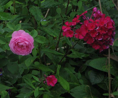 louise_odier_kirchenfuerst_2008.jpg