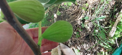 20231001_114104.jpg