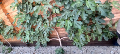 20231001_182801.jpg