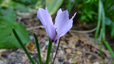 DSC03279.JPG