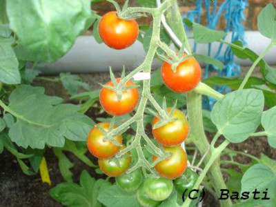 DSC01746.JPG