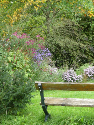 2023-10-03 Gartenimpressionen 1.jpg