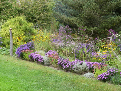 2023-10-03 Gartenimpressionen 4.jpg