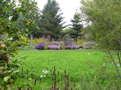2023-10-03 Gartenimpressionen 8.jpg