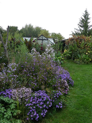 2023-10-03 Gartenimpressionen 5.jpg