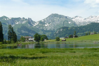 Schwendisee.bei.Wildhaus.SG.29.06.2008.00.JPG