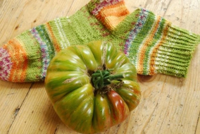 Sockentomate.jpg