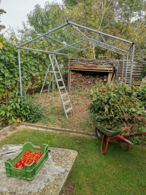 Tomaten abgeräumt 20231008.jpeg