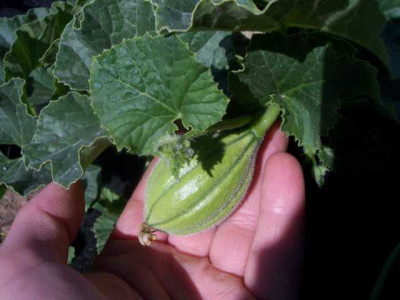K640_100_5365.JPG