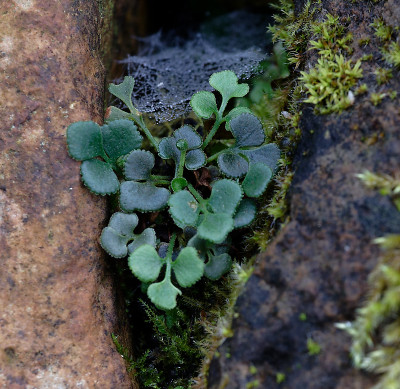 DSC_8052_DxO.jpg