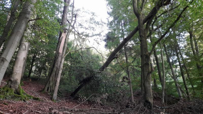 IMG-20231010-WA0016.jpeg