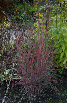 DSC01665_DxO.jpg