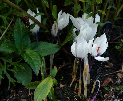 DSC01672_DxO.jpg