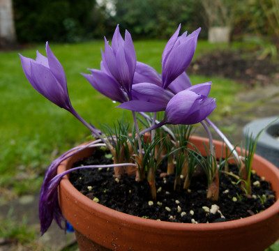 DSC01682_DxO.jpg