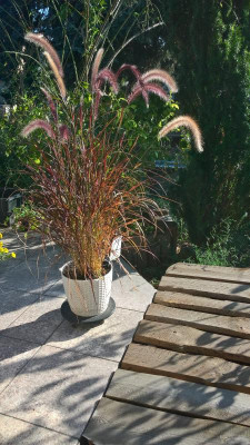 WP_20230926_16_42_47_Pro.jpg