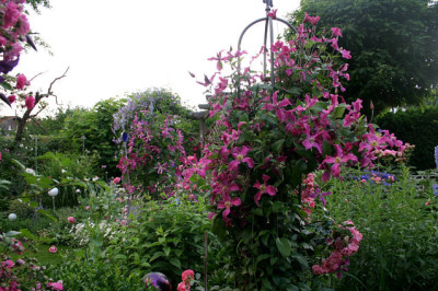Cl.int.Pangbourne_Pink0707a.jpg