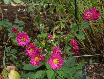 DSC02150.JPG