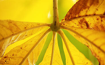 0311-11.jpg