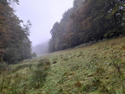 20231019_090851.jpg