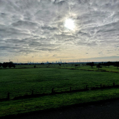 20231017_103154.jpg