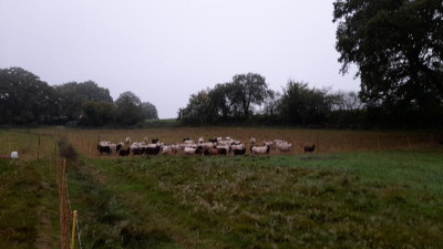 IMG-20231020-WA0001.jpeg
