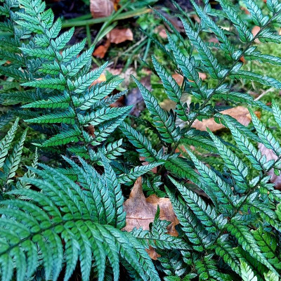 20231017_130400.jpg