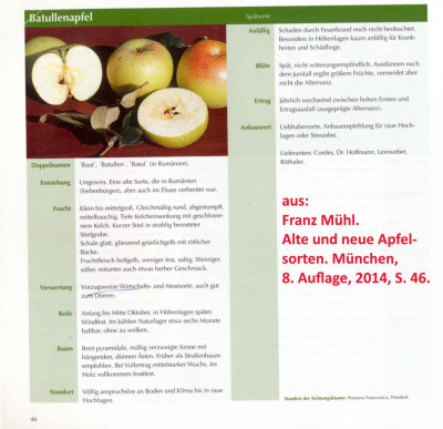 Batullenapfel - Mühl.jpg
