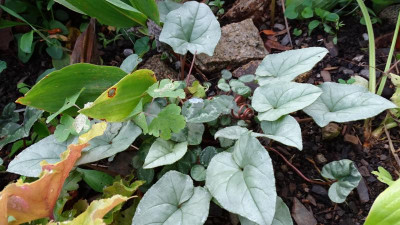 DSC03338.JPG