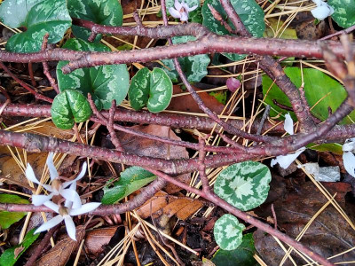 20231023_104541.jpg