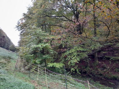 20231023_092506.jpg