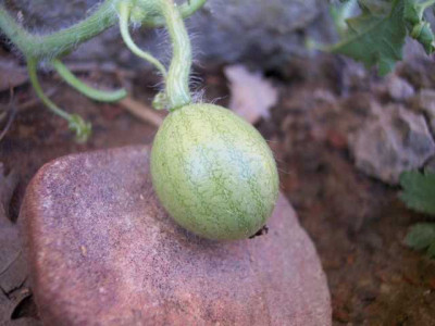 K640_100_5401.JPG