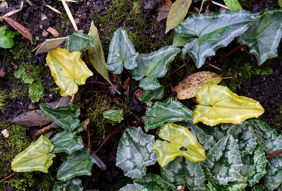 DSC_8076_DxO.jpg