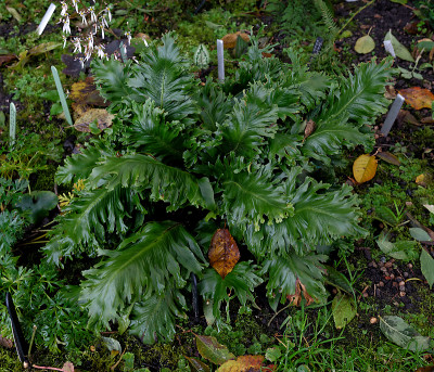 DSC_8064_DxO.jpg