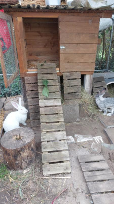 IMG-20231008-WA0012.jpeg
