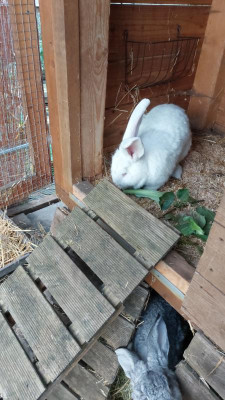 IMG-20231008-WA0016.jpeg