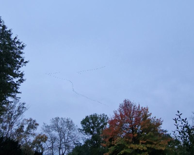 20231025_175905.jpg