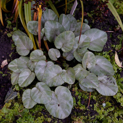 DSC01695_DxO.jpg