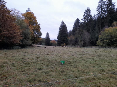 20231030_083329.jpg