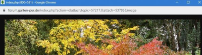 url.JPG