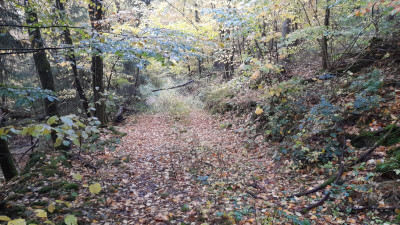 IMG-20231101-WA0000.jpeg