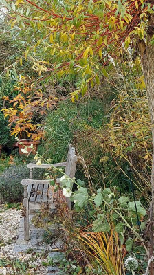 20231105_163915 Herbst.jpg