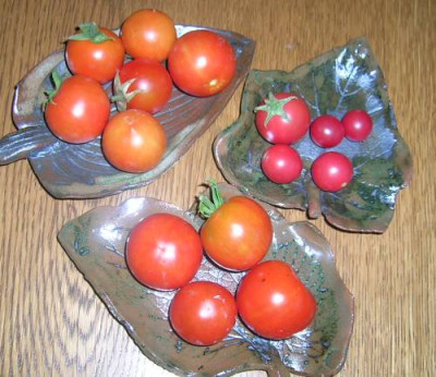 DSCN9783.jpg