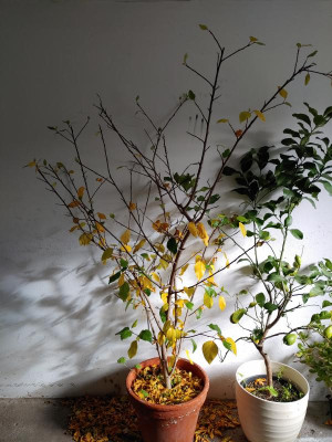20231107_113028.jpg