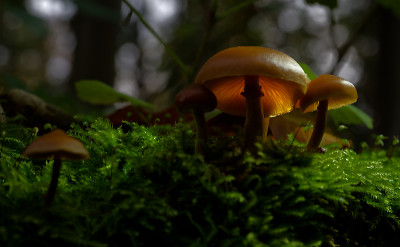DSC_8098_DxO.jpg