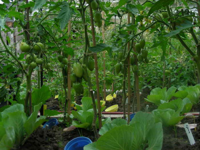 DSCN1798.JPG